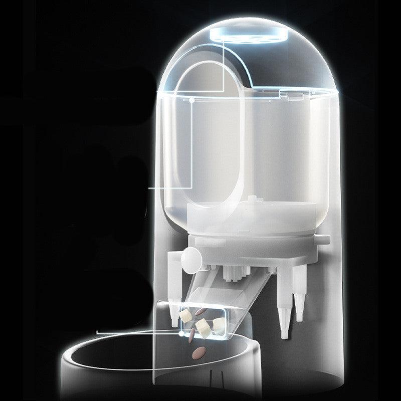 Intellifeed: Smart Stainless Steel Cat Feeder With App Control