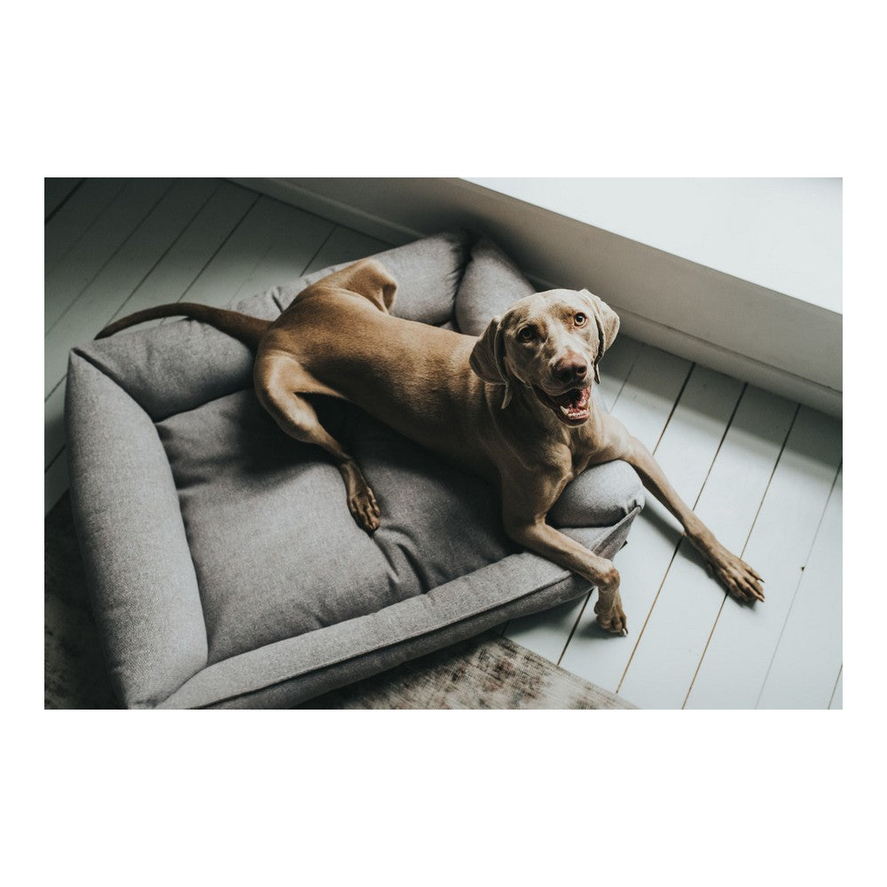 Dog Sofa Hunter PRAG Grey 90 x 70 cm