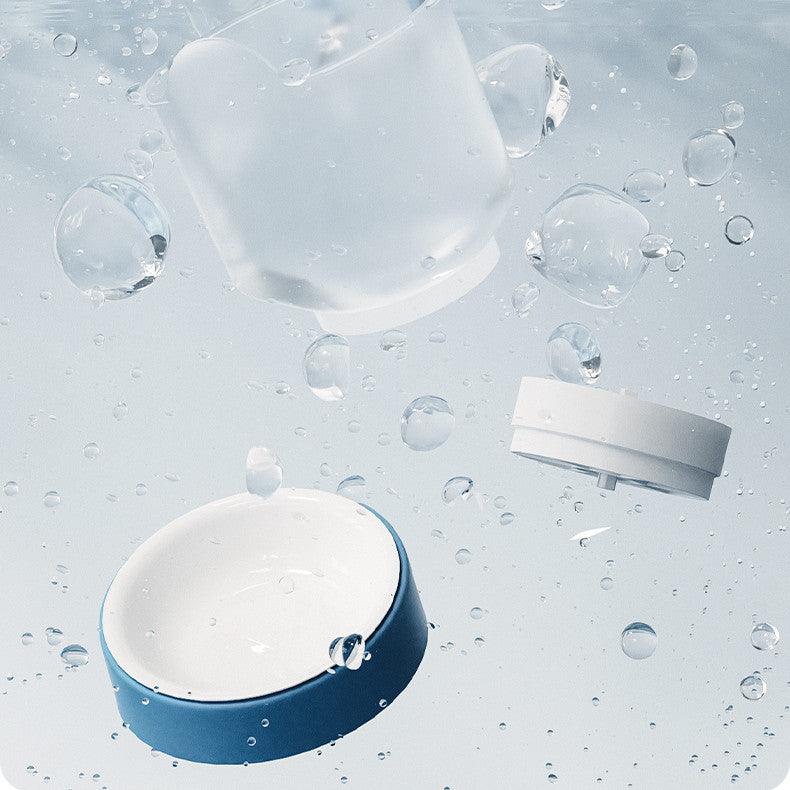 Intellifeed: Smart Stainless Steel Cat Feeder With App Control