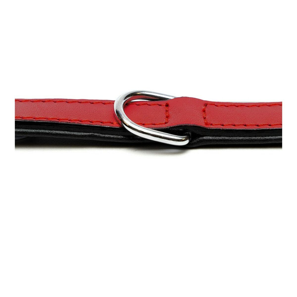 Zgardă pentru câini Gloria Padded Red (30 × 1,5 cm)