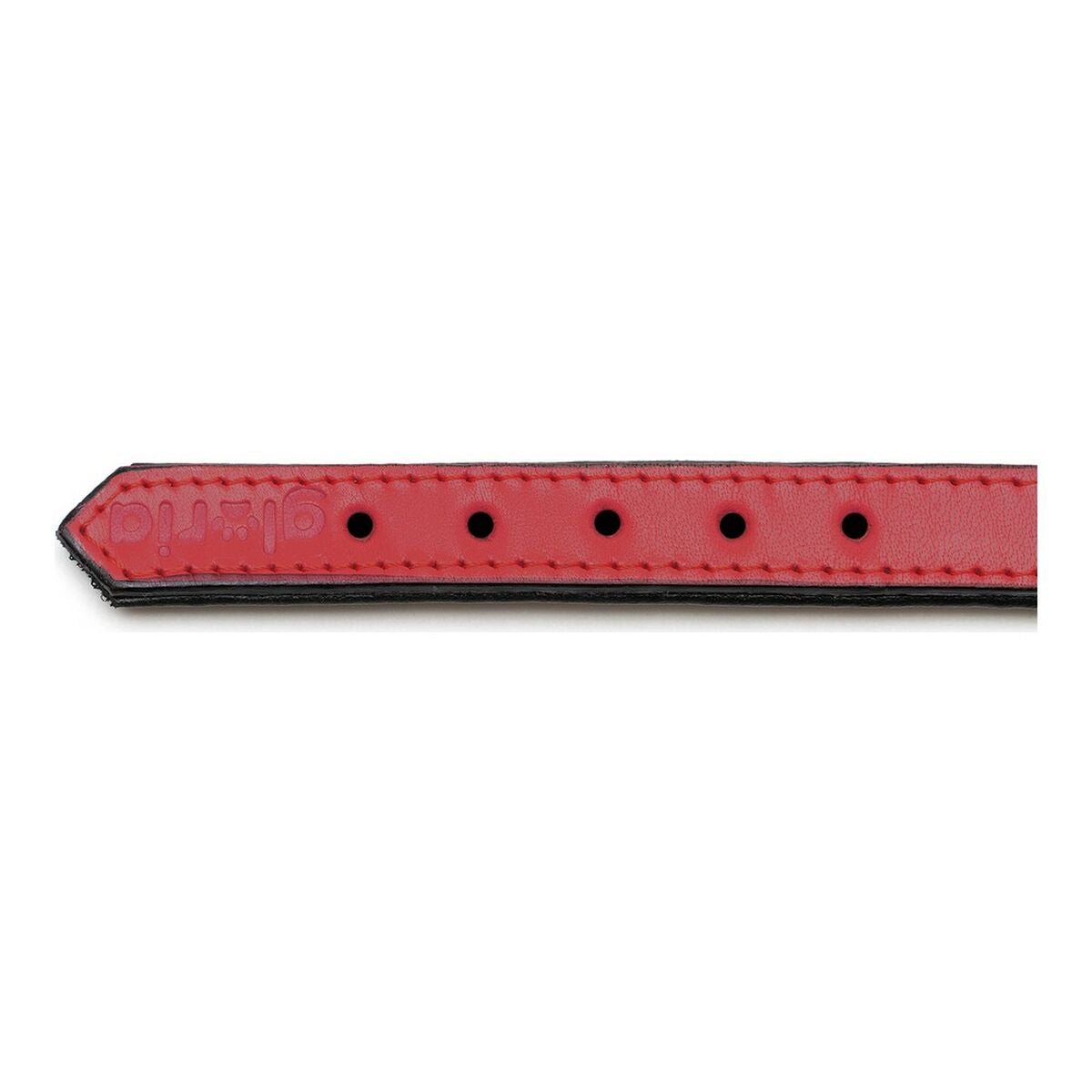 Zgardă pentru câini Gloria Padded Red (30 × 1,5 cm)