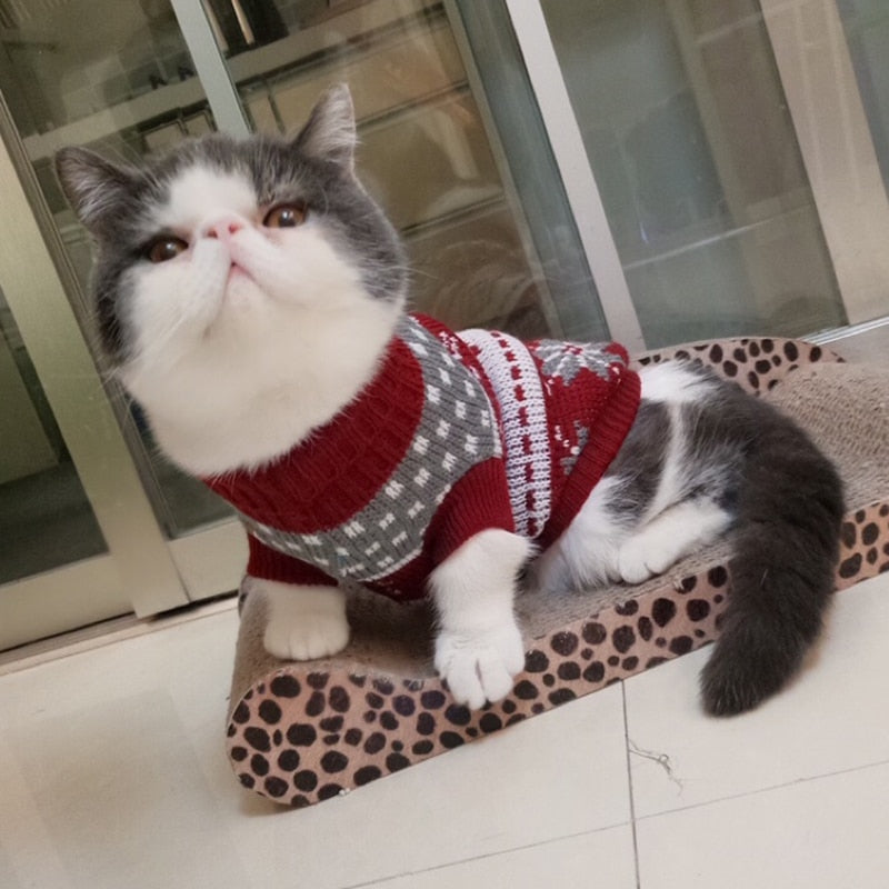 Cute Cat Sweater Costume Winter Warm Pet Clothes Cat Clothing for Cats
